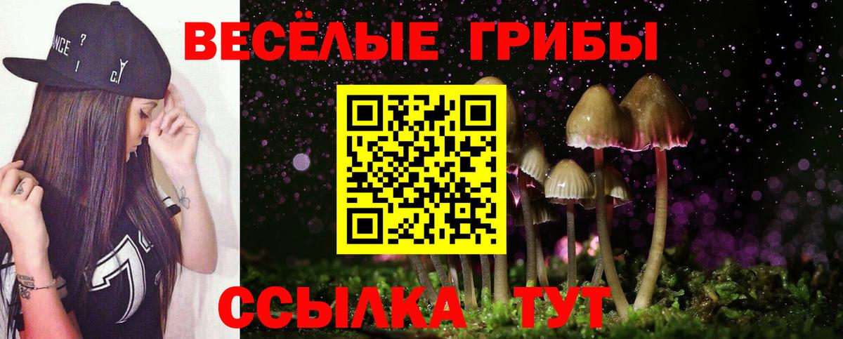 купить наркоту  Галлюциногенные грибы Psilocybine cubensis  Вход с VPN  Кстово 